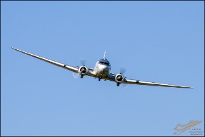 NZ6_3189